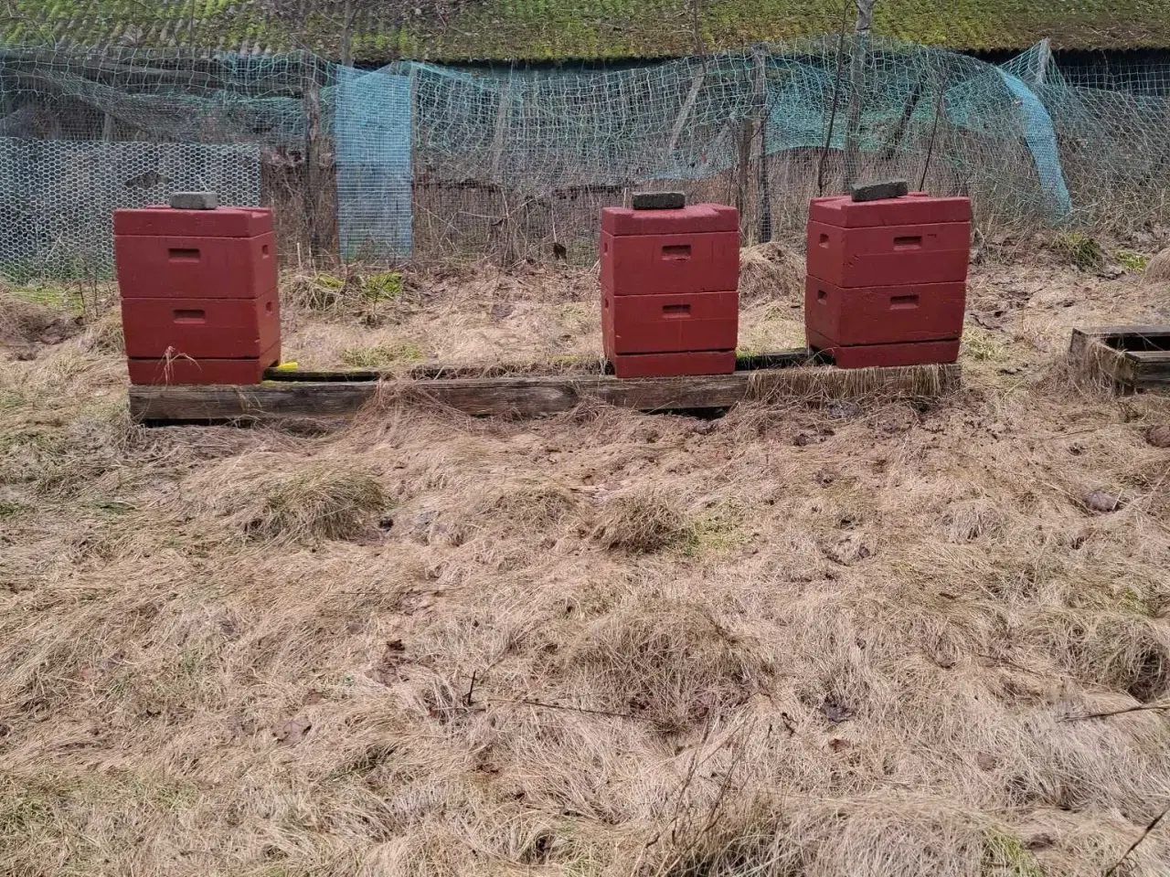 Billede 1 - Bifamilier på LM