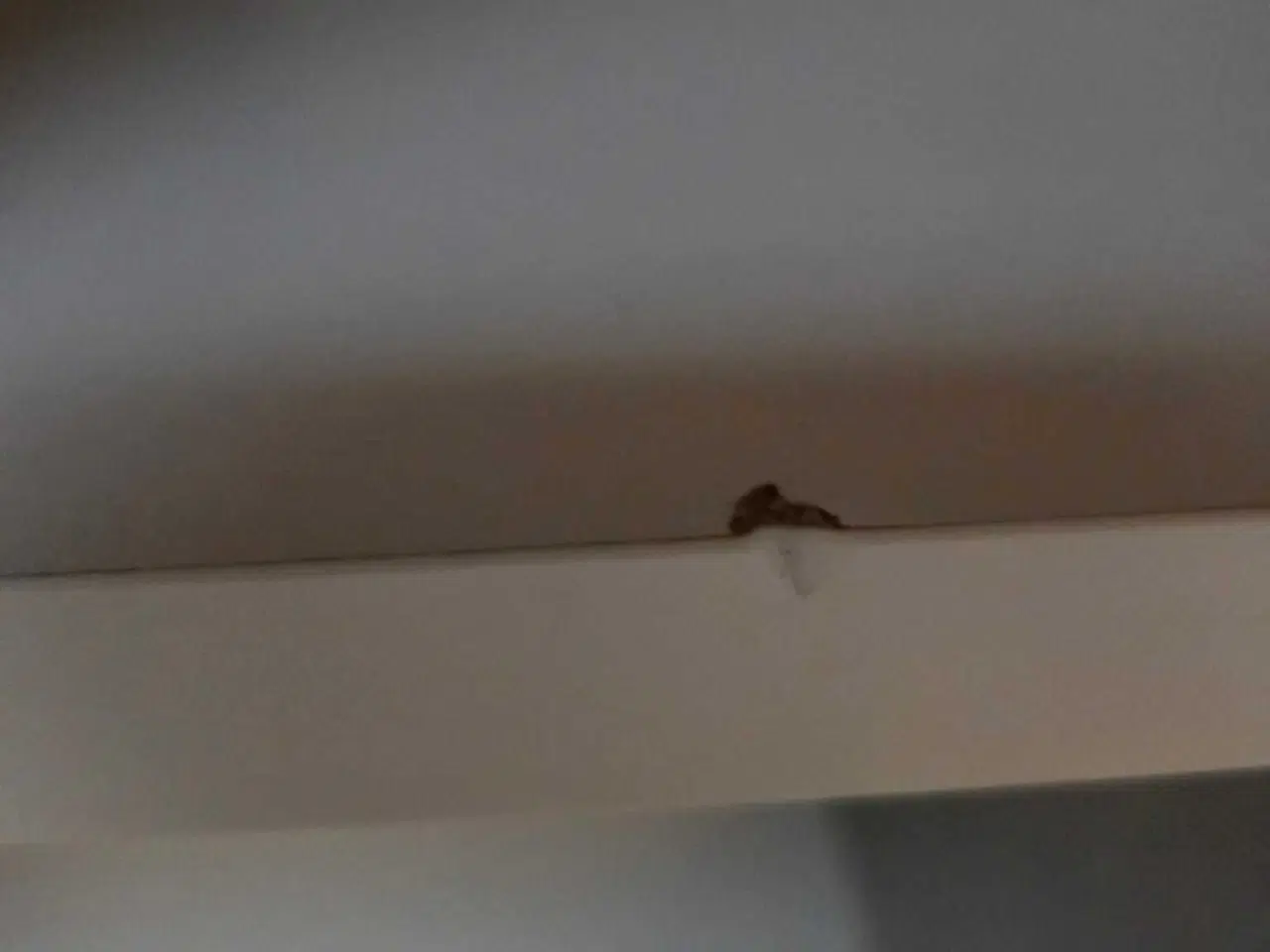 Billede 2 - Billund Jysk reol