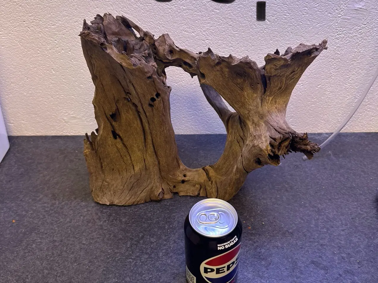 Billede 5 - Trærødder