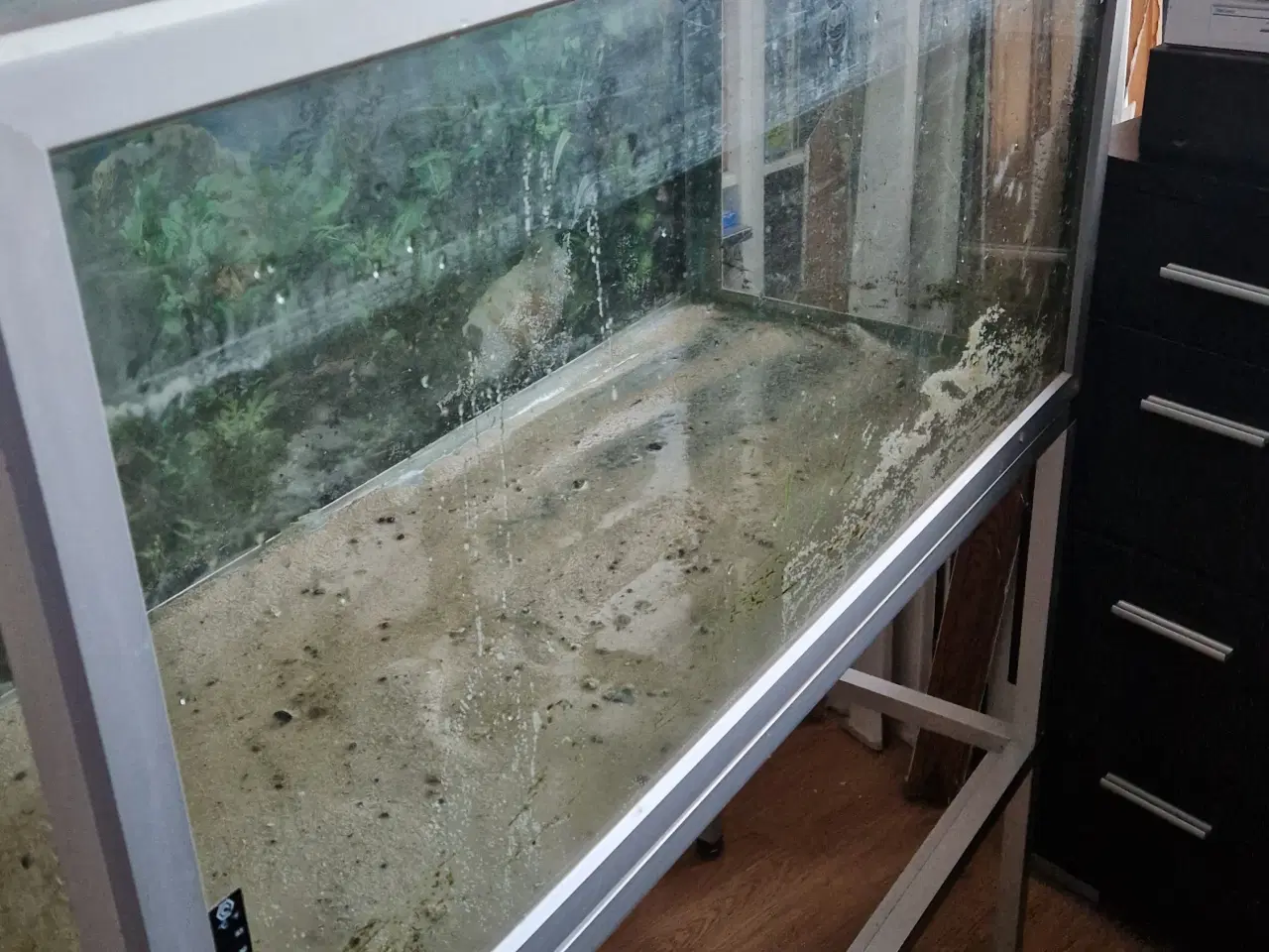 Billede 1 - 200 liters akvarie 