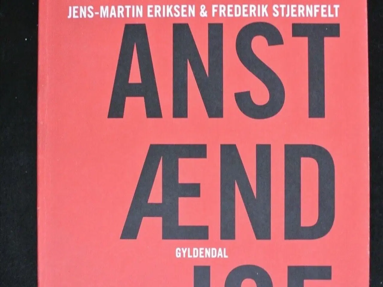 Billede 1 - de anstændige, af jens-martin eriksen og frederik 