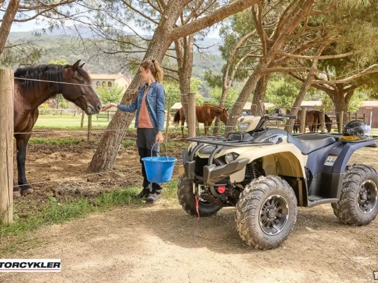 Billede 7 - Yamaha Kodiak 450 EPS SE ALU Diff Lock Traktor