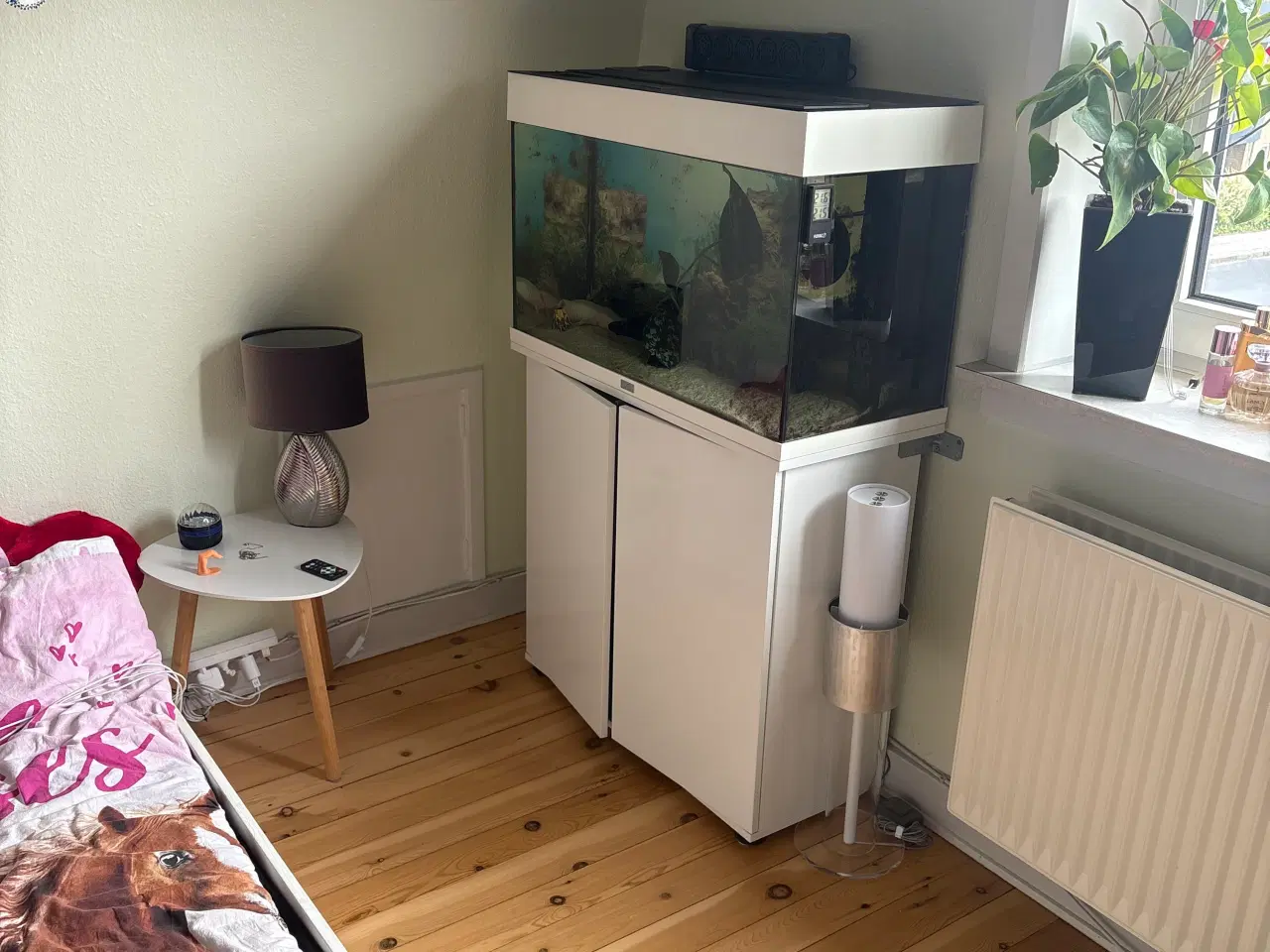 Billede 5 - Akvarie med eller uden axolotl