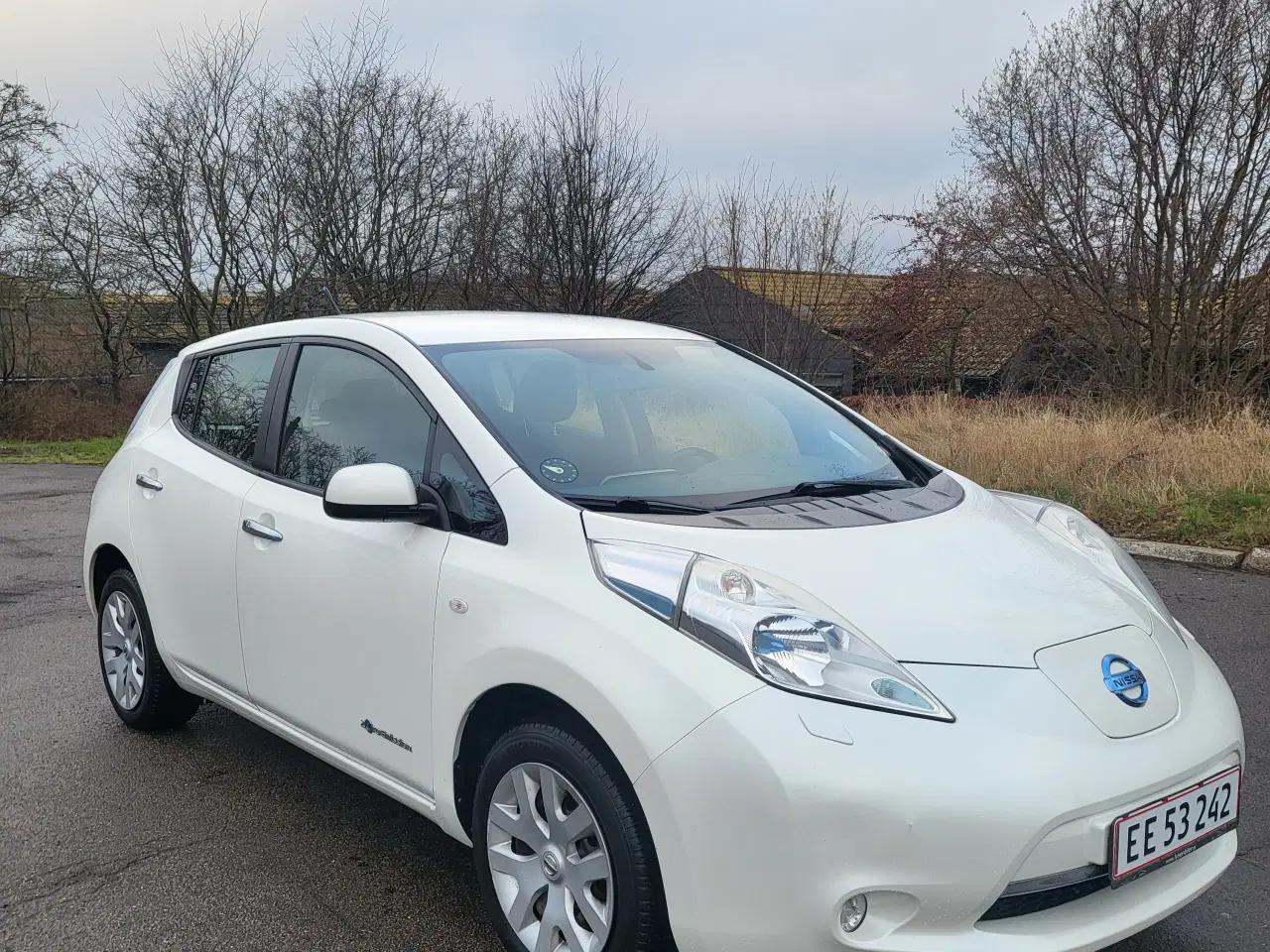 Billede 6 - Nissan Leaf EL