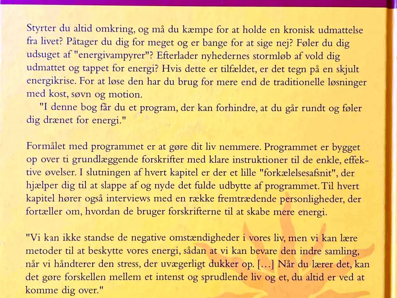 Billede 2 - Positiv Energi - Opnå livsglæde, styrke og kærligh