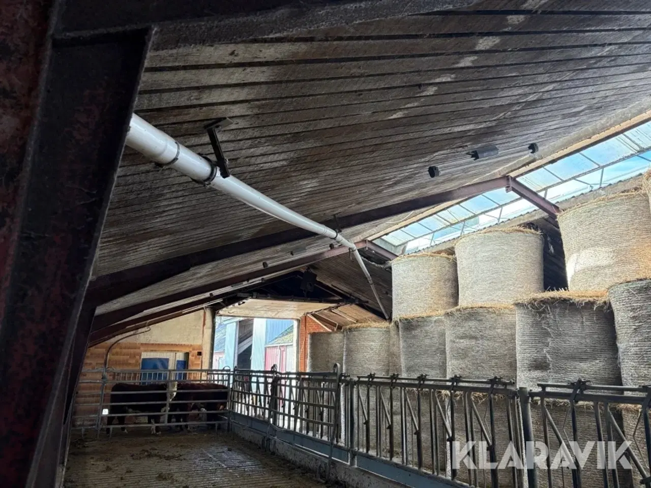 Billede 5 - Fodersnegl