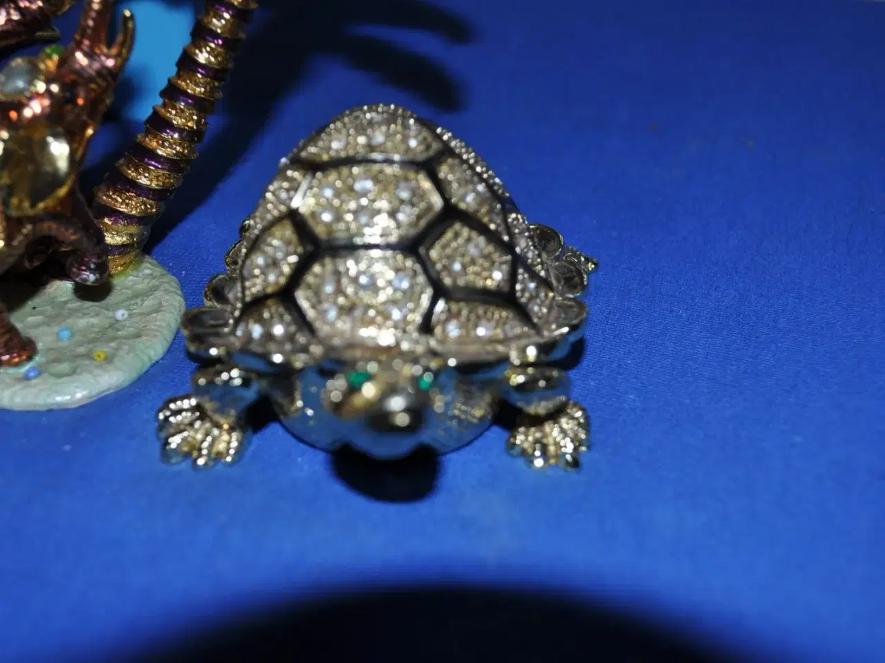 Billede 2 - ZOO Skildpadde ej for dem med lommepene 