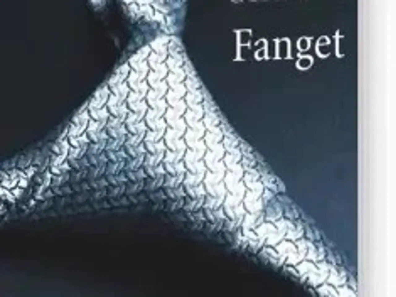 Billede 1 - Fifty Shades - Fanget af E L James (Ø)