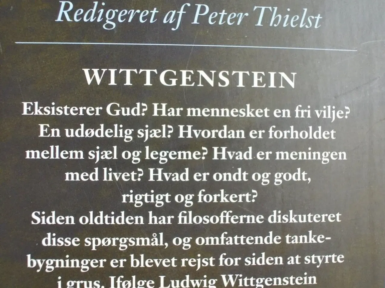 Billede 4 - wittgenstein, af jørgen husted, emne: filosofi