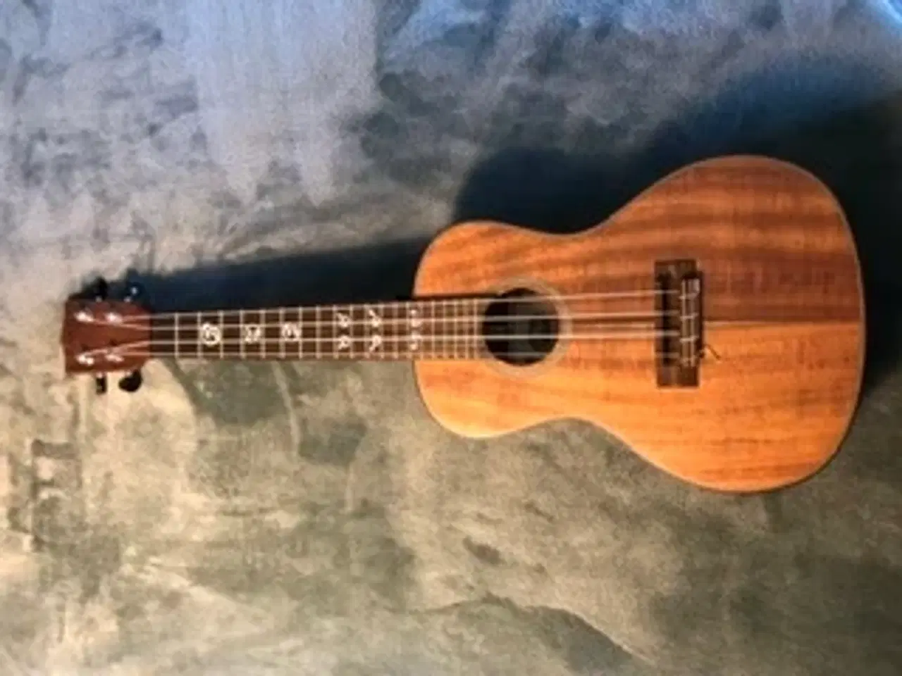 Billede 2 - Concert ukulele