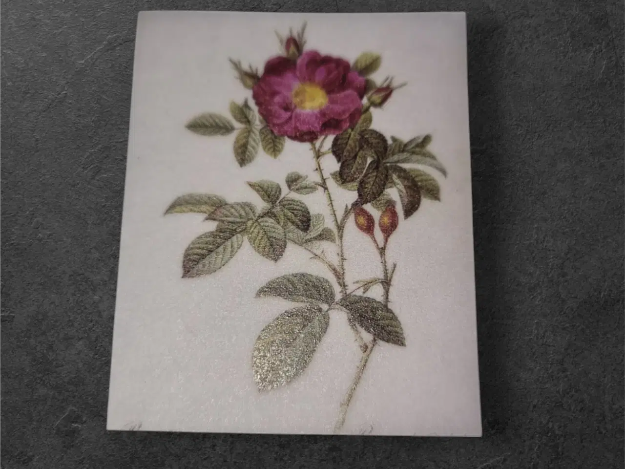 Billede 1 - Papirark med Rosa Gallica og sølvglimmer Tilføj et