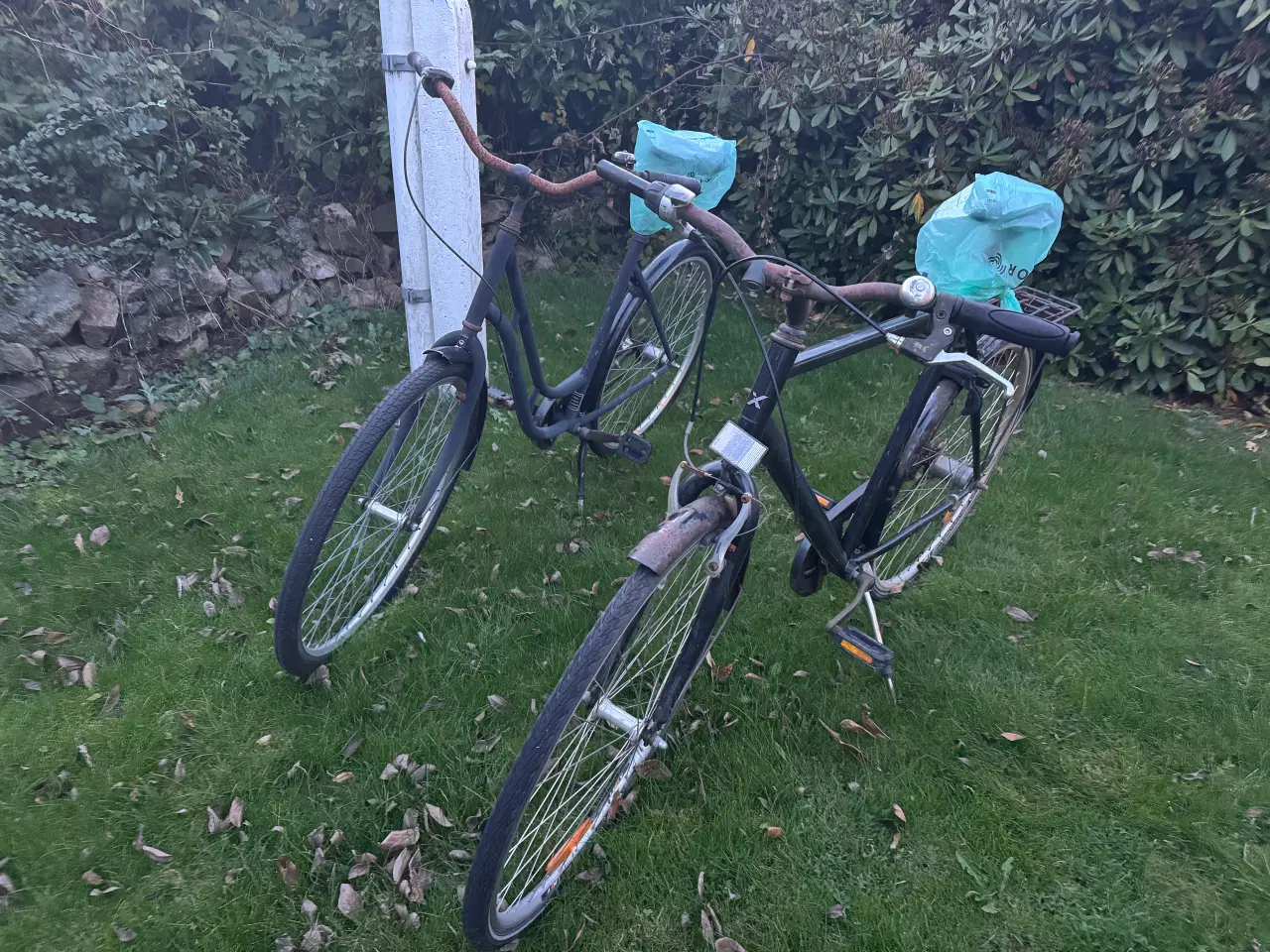 Billede 1 - Cykler 50 kr pr stk