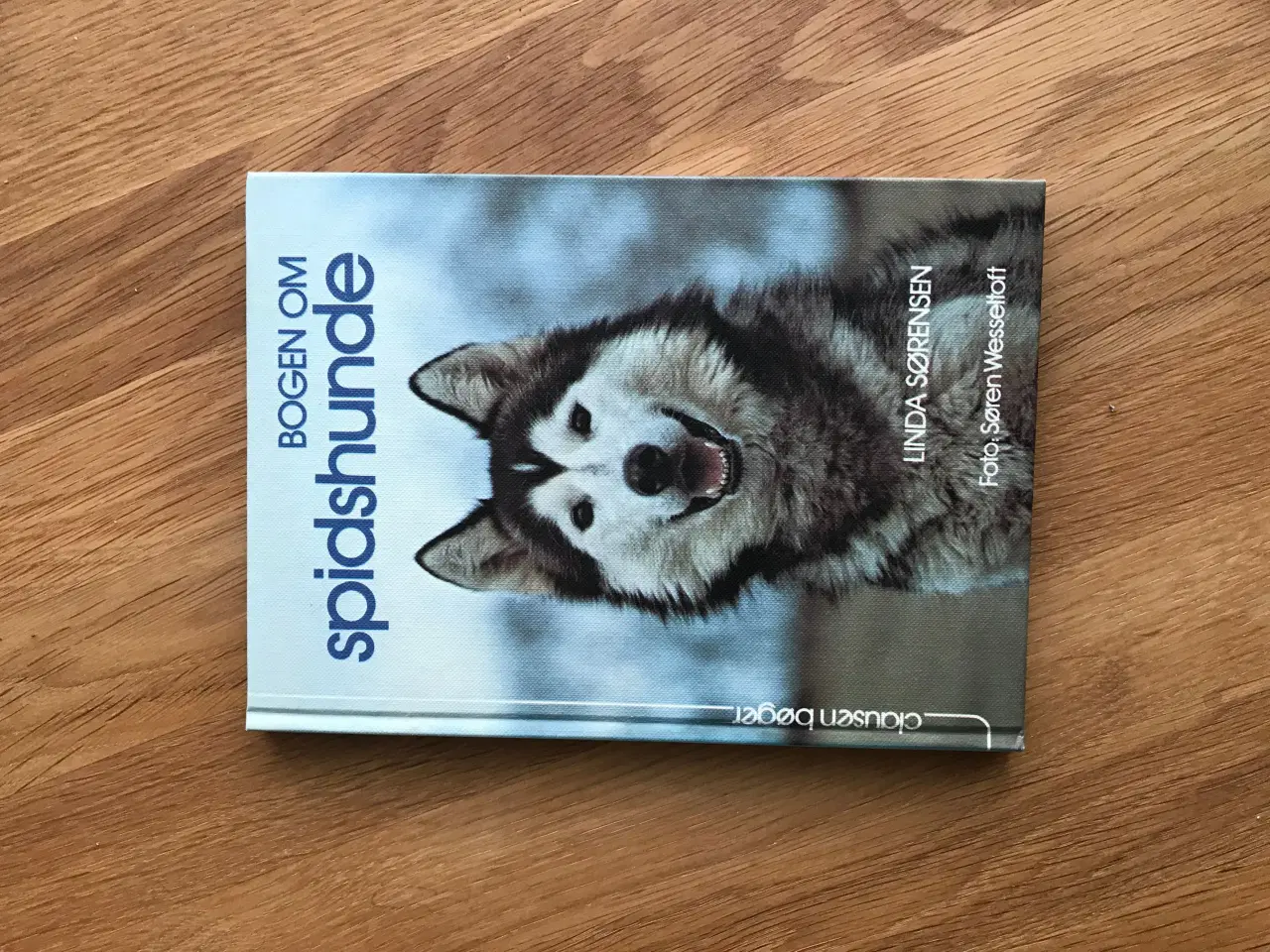 Billede 1 - Bogen om spidshunde