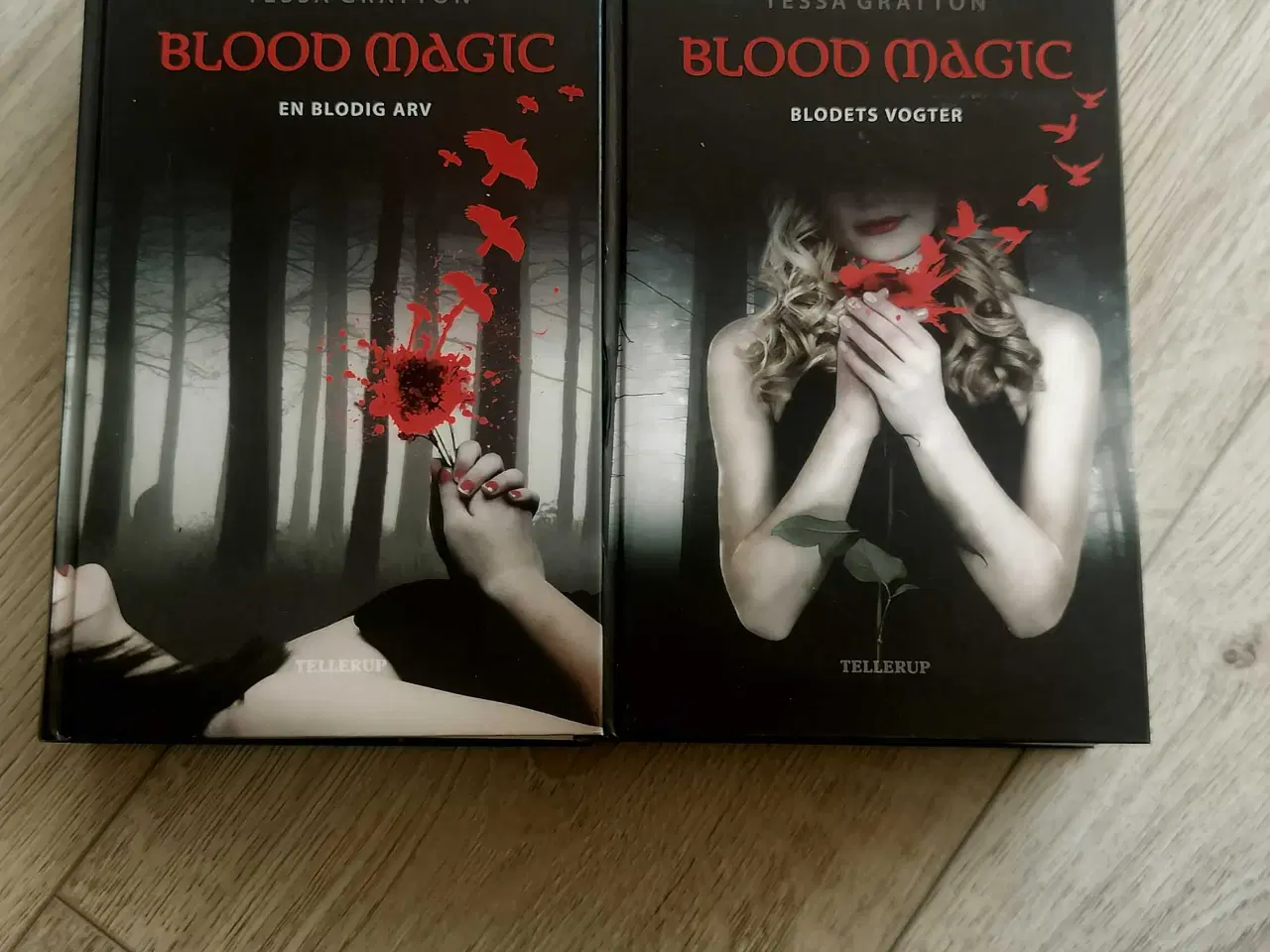 Billede 3 - Blood magic af Tessa Gratton 