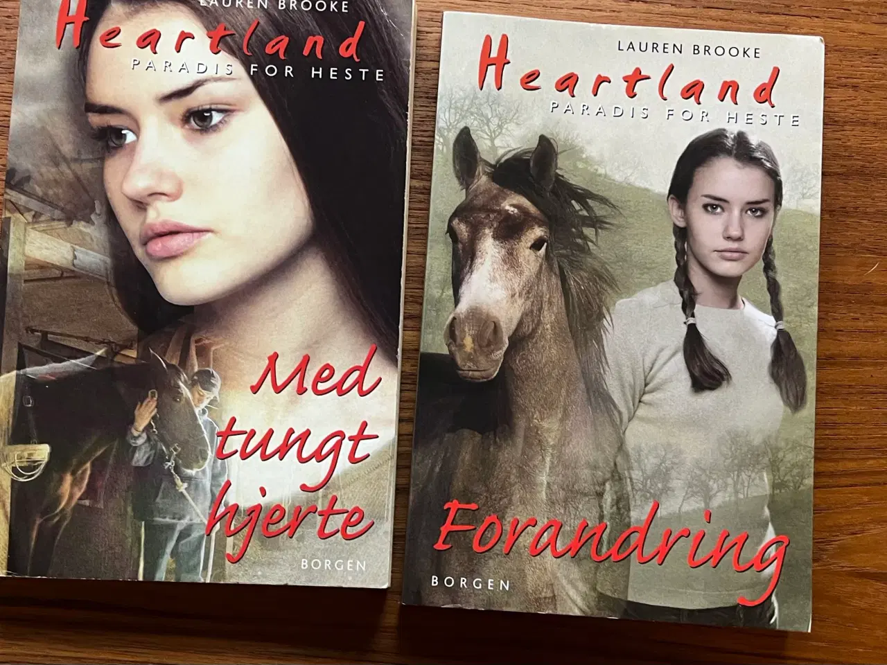 Billede 3 - Heste bøger