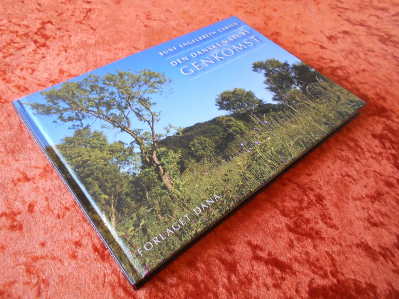 Billede 1 - Den danske naturs genkomst