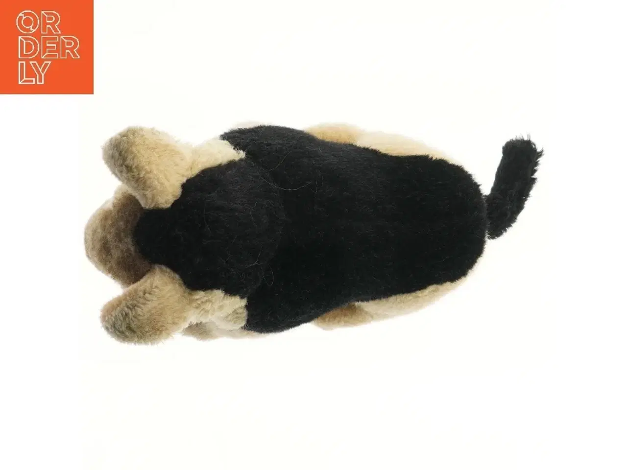 Billede 3 - Schæferhund Bamse