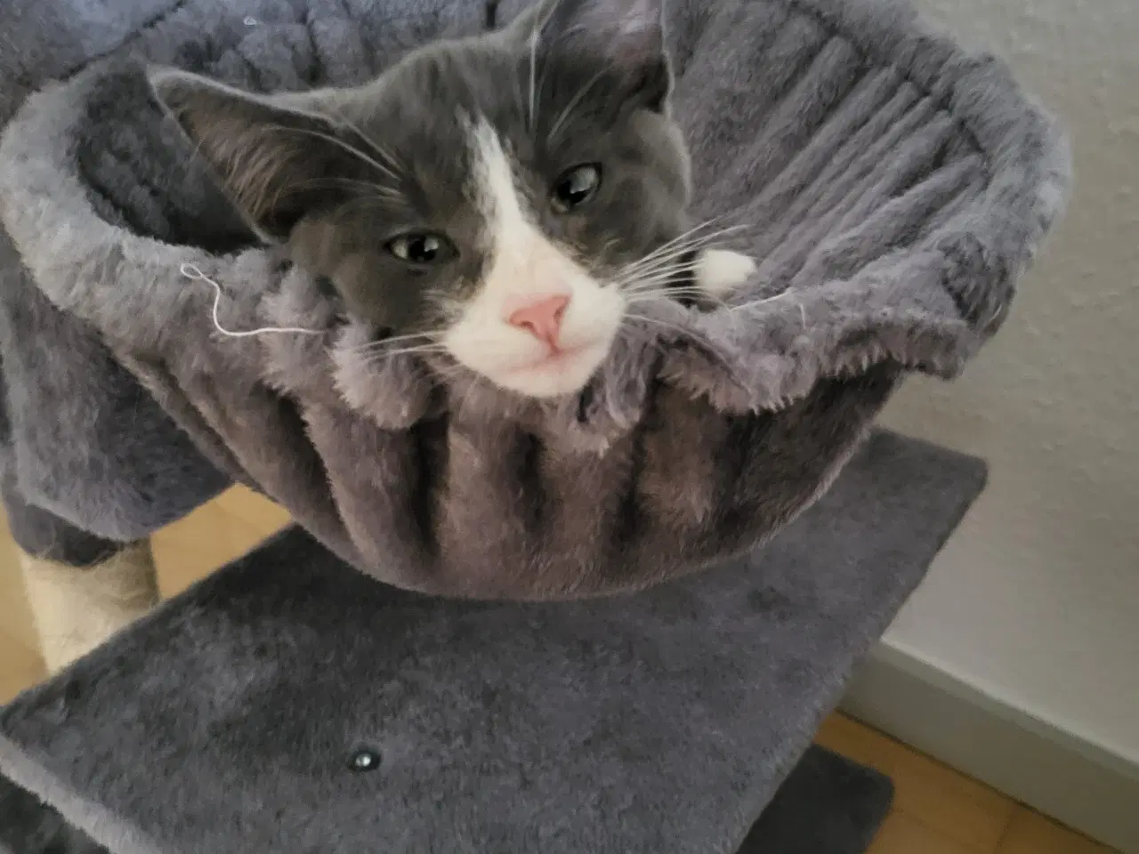 Billede 1 - Børnevenlig pige