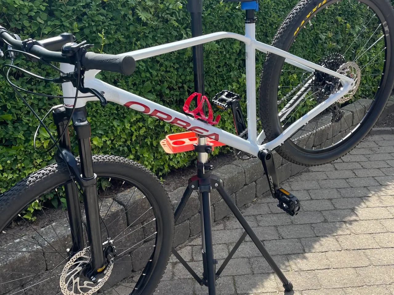 Billede 4 - 29 mtb orbea 
