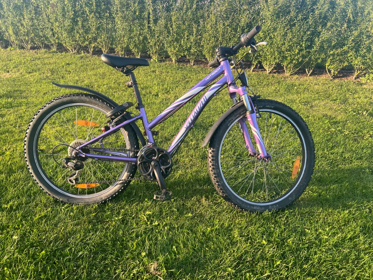 Billede 1 - Specialized 24” mtb