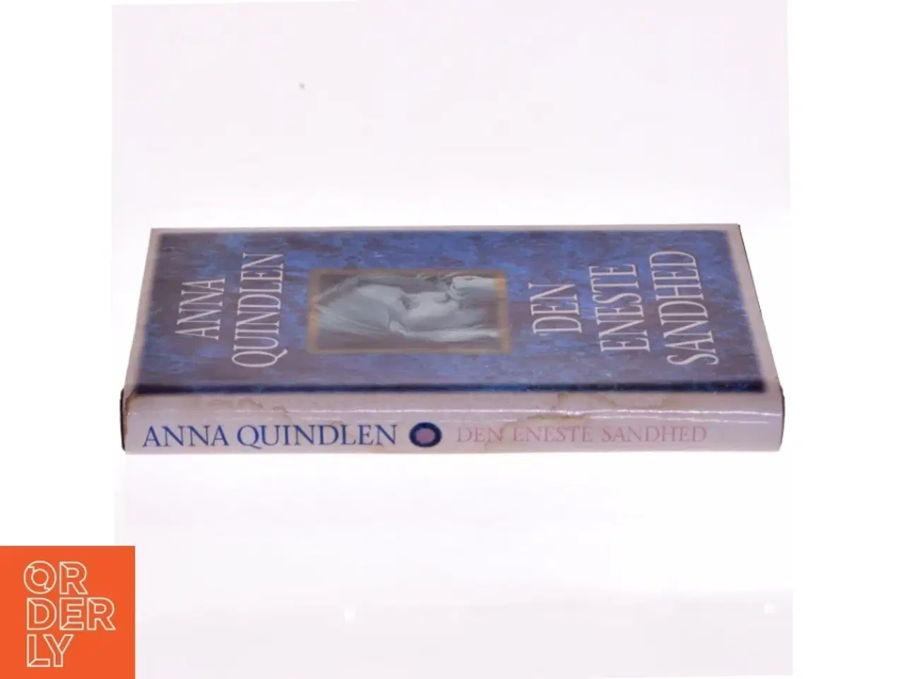 Billede 2 - Anna Quindlen: Den Eneste Sandhed (Bog)