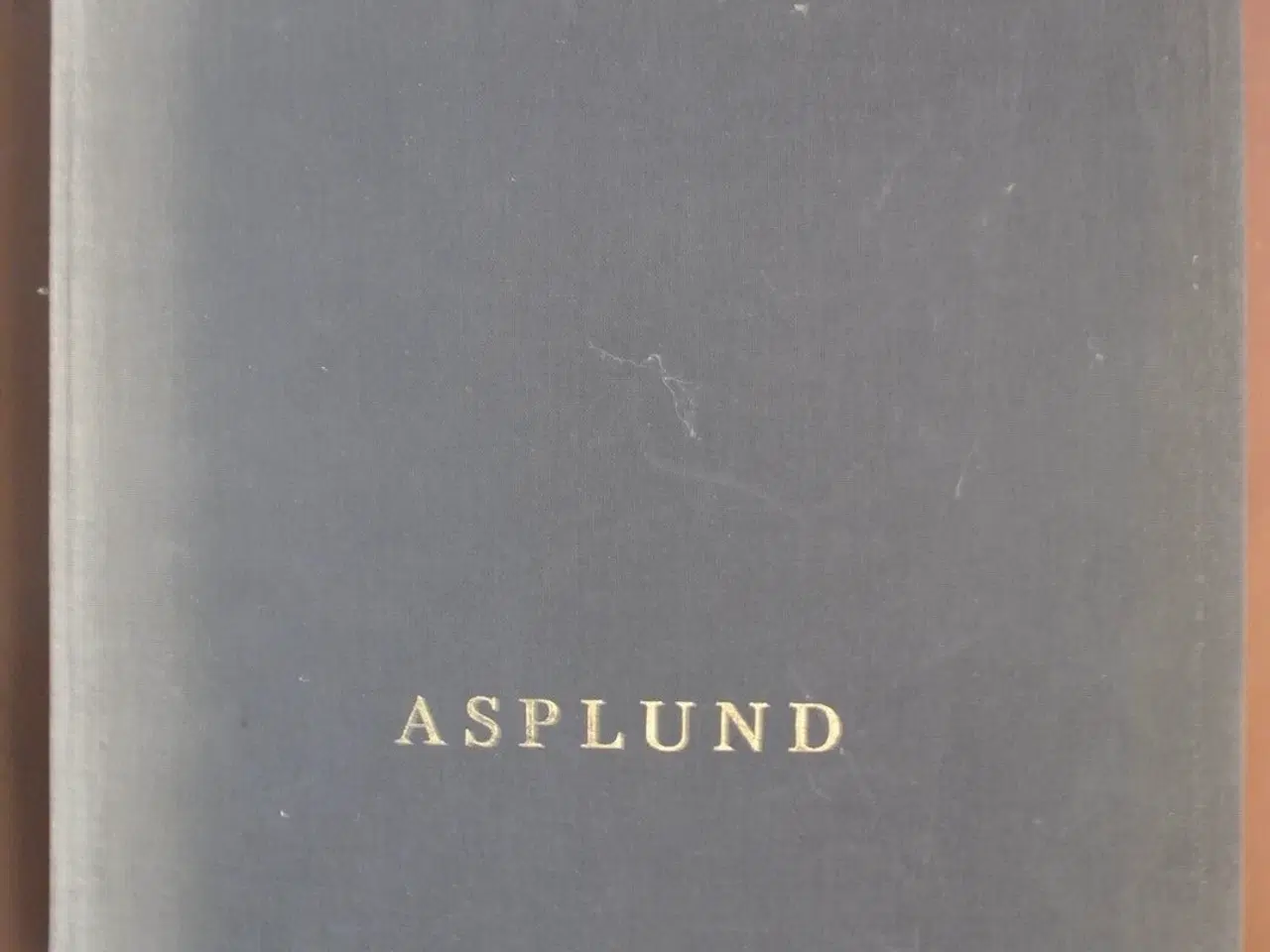 Billede 1 - asplund, by claes caldenby and olof hultin