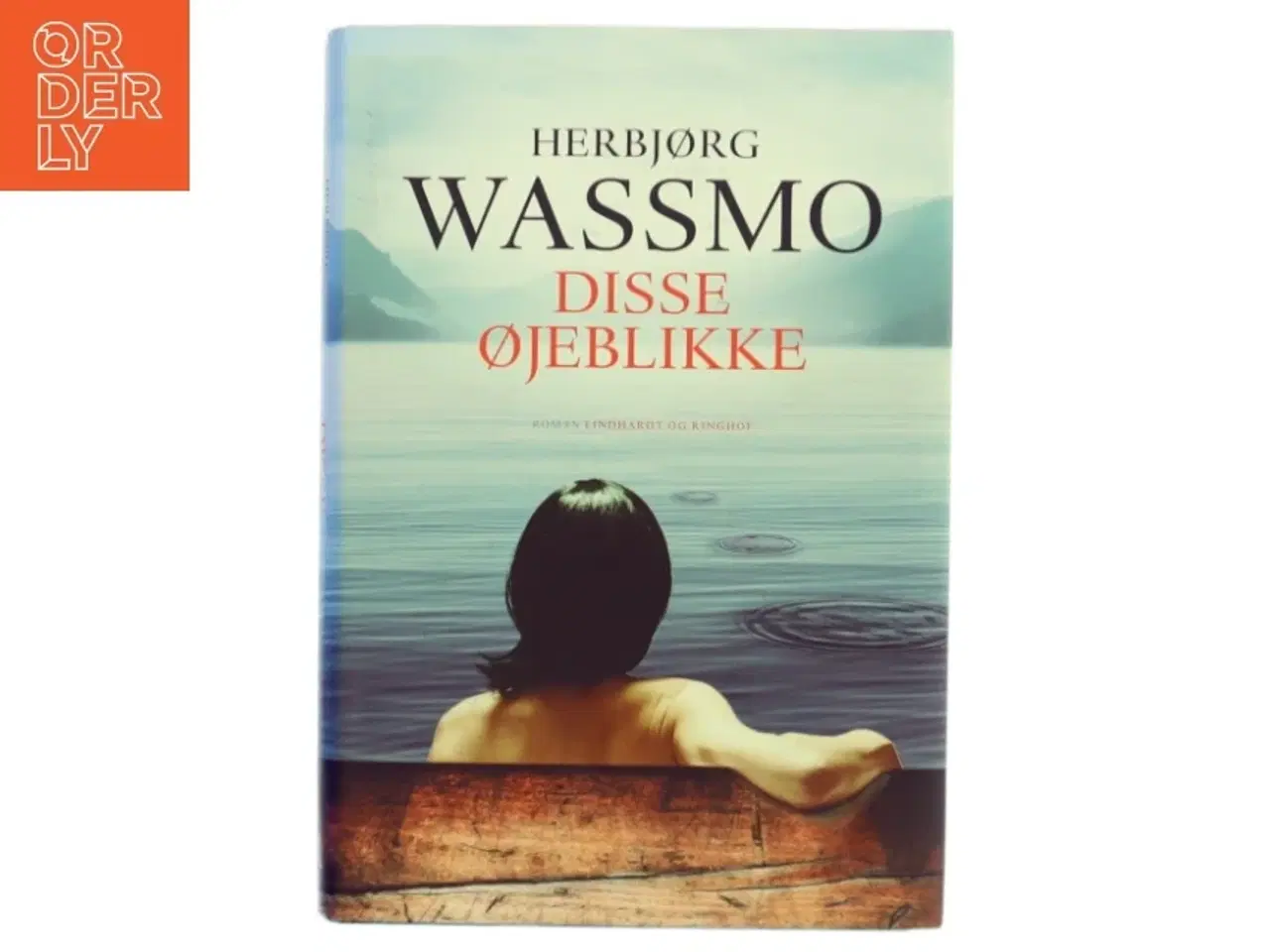 Billede 1 - Disse øjeblikke : roman (Klassesæt) af Herbjørg Wassmo (Bog)