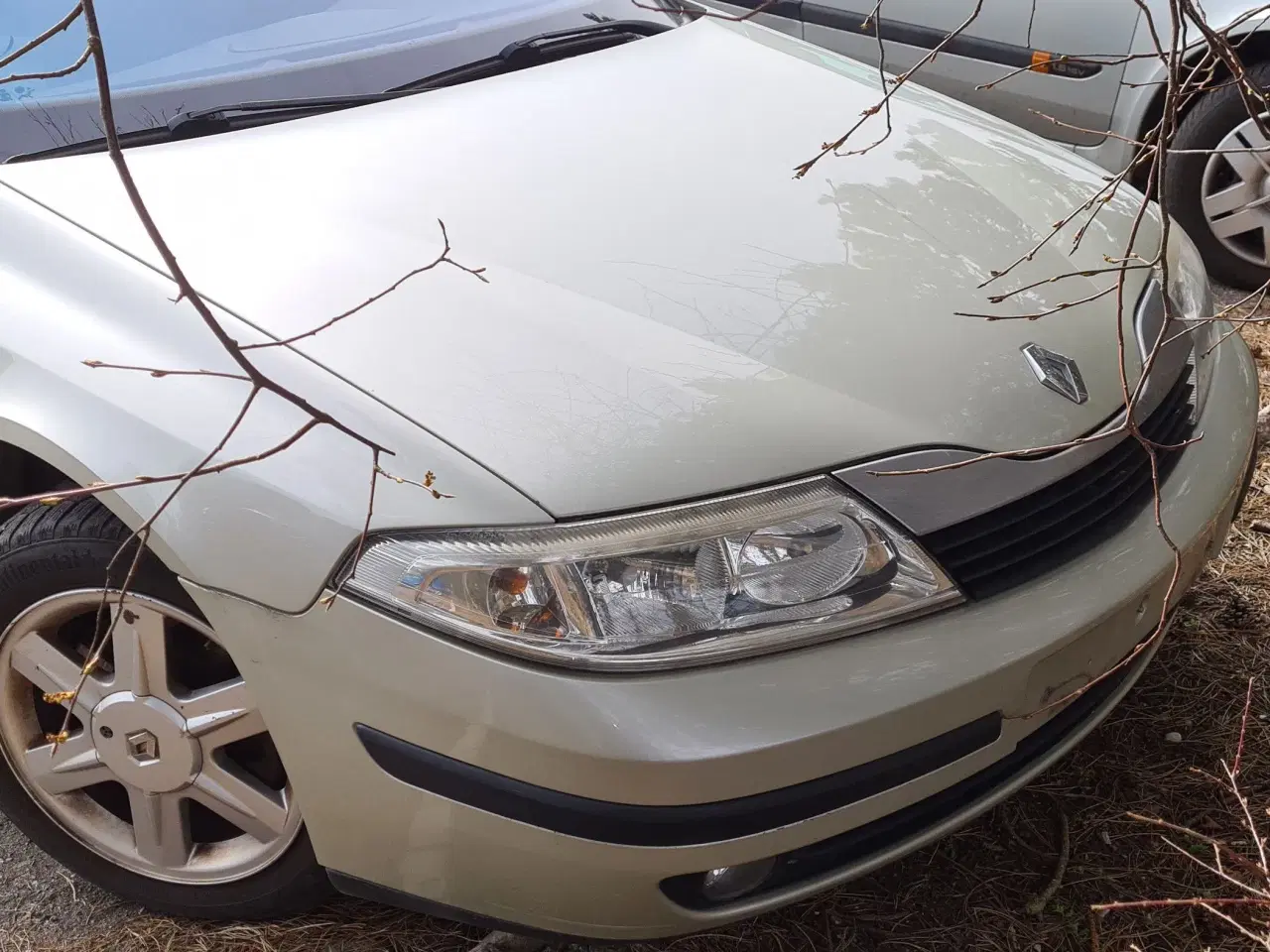Billede 4 - Renault Laguna reservedele