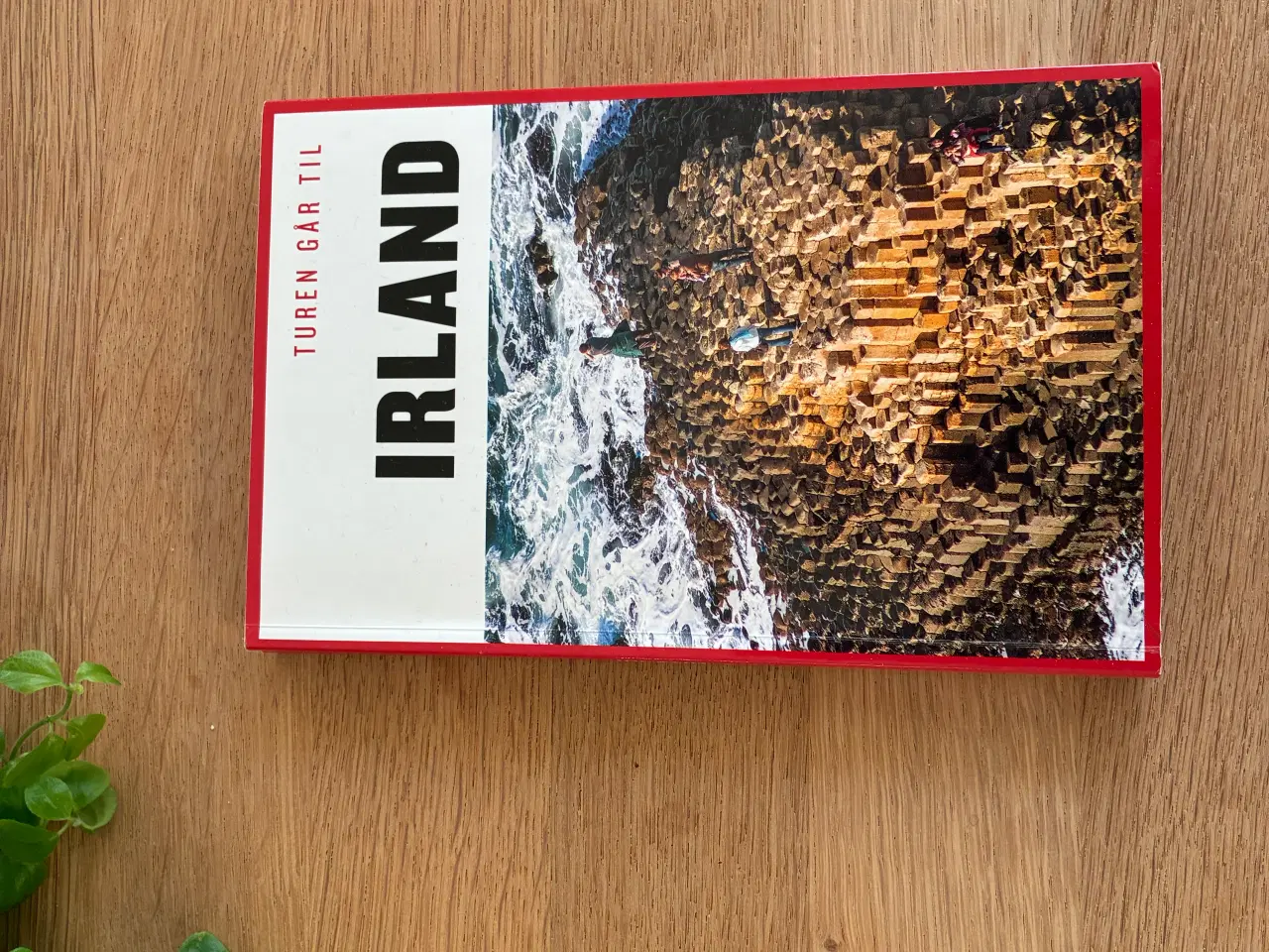 Billede 1 - Turen går til IRLAND