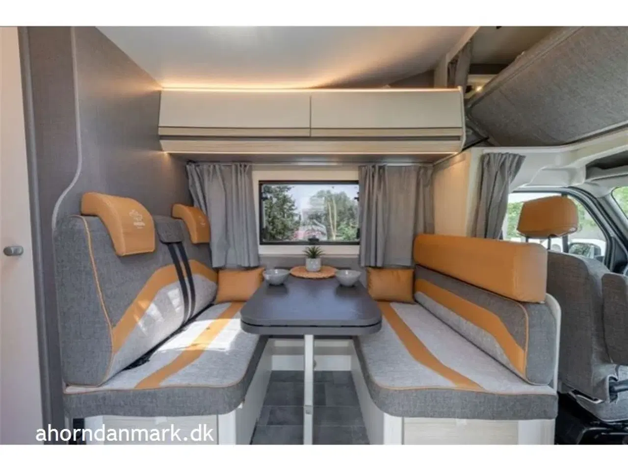 Billede 16 - 2025 - Ahorn Canada AE   Canada AE 2024