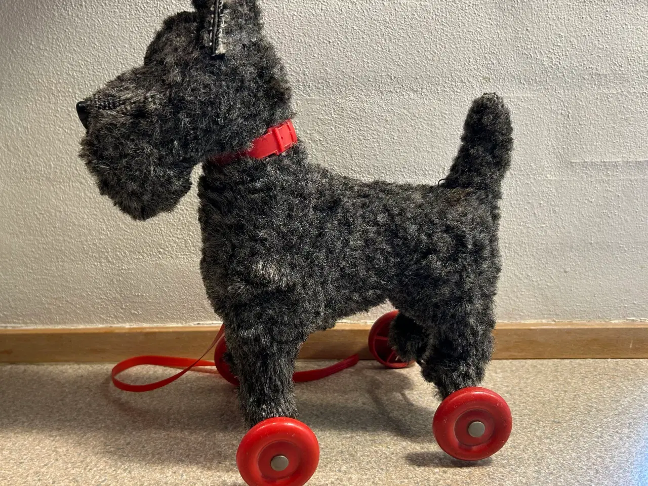 Billede 2 - Skotsk Terrier trækkehund 