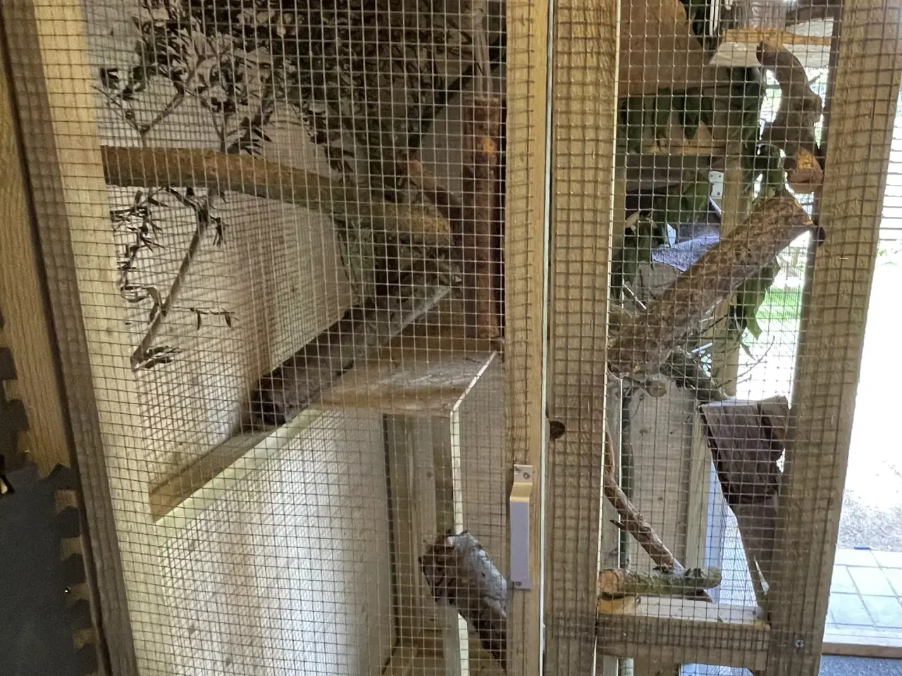 Billede 2 - Håndlavede bure & volierer i træ