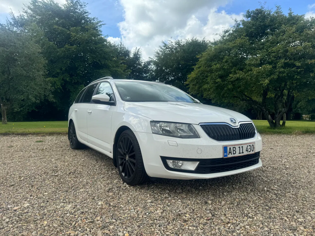 Billede 1 - Skoda Octavia 2,0 Ambition, Combi