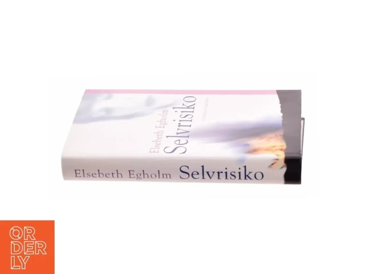 Billede 2 - Selvrisiko af Elsebeth Egholm (Bog)
