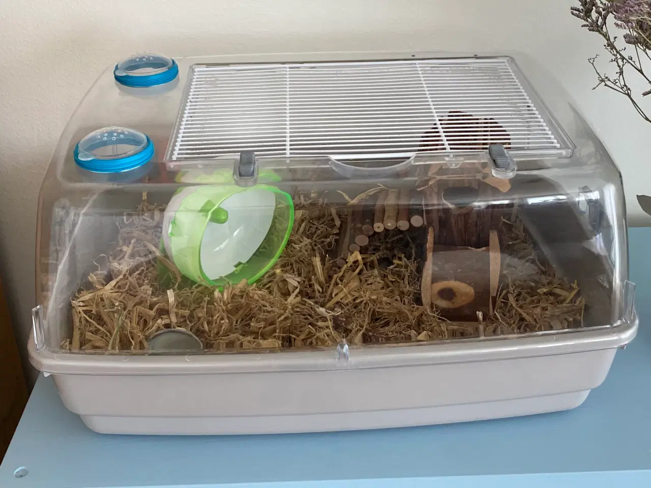 Billede 1 - Hamster + bur og tilbehør 