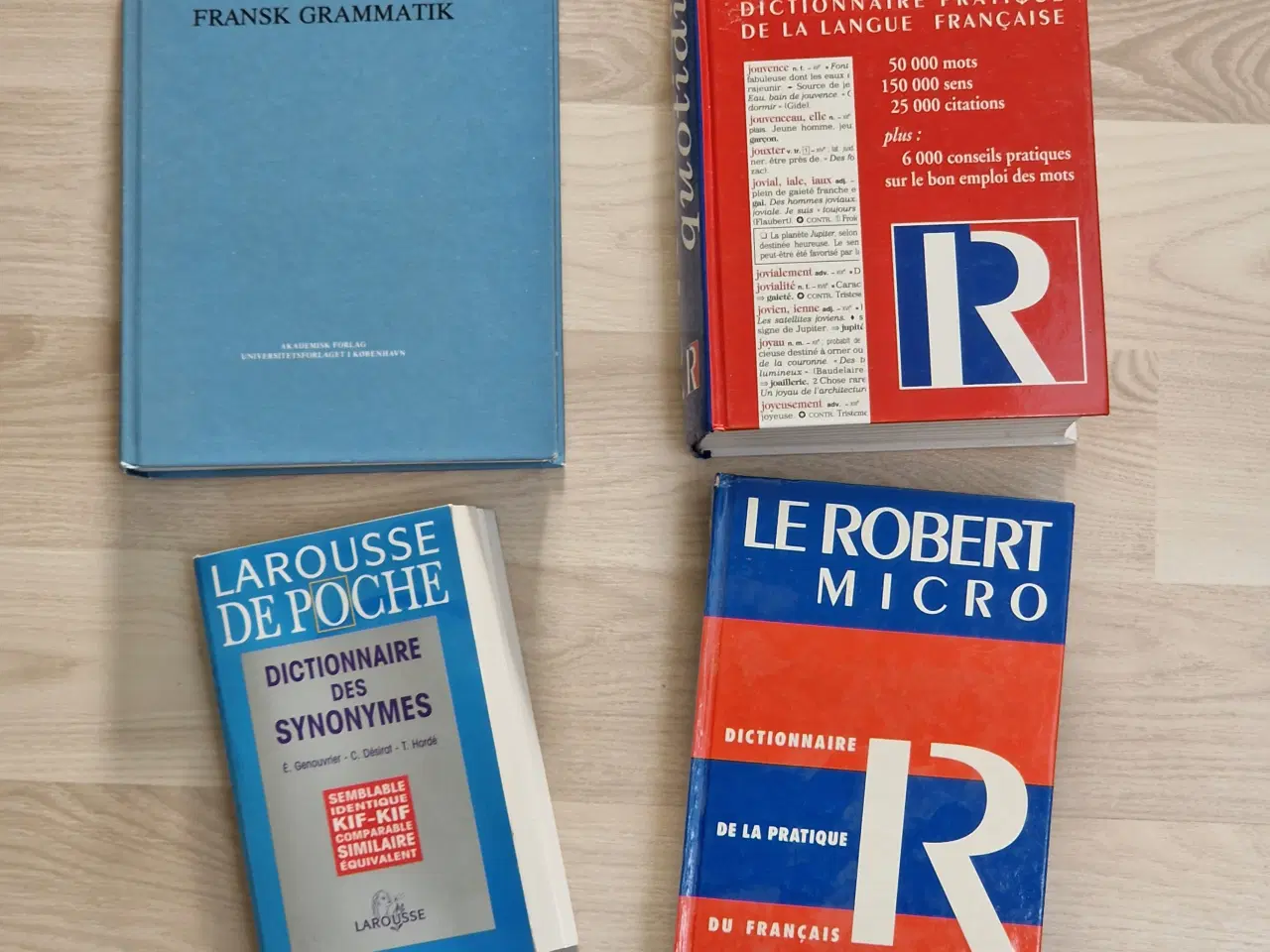 Billede 6 - Franske ordbøger