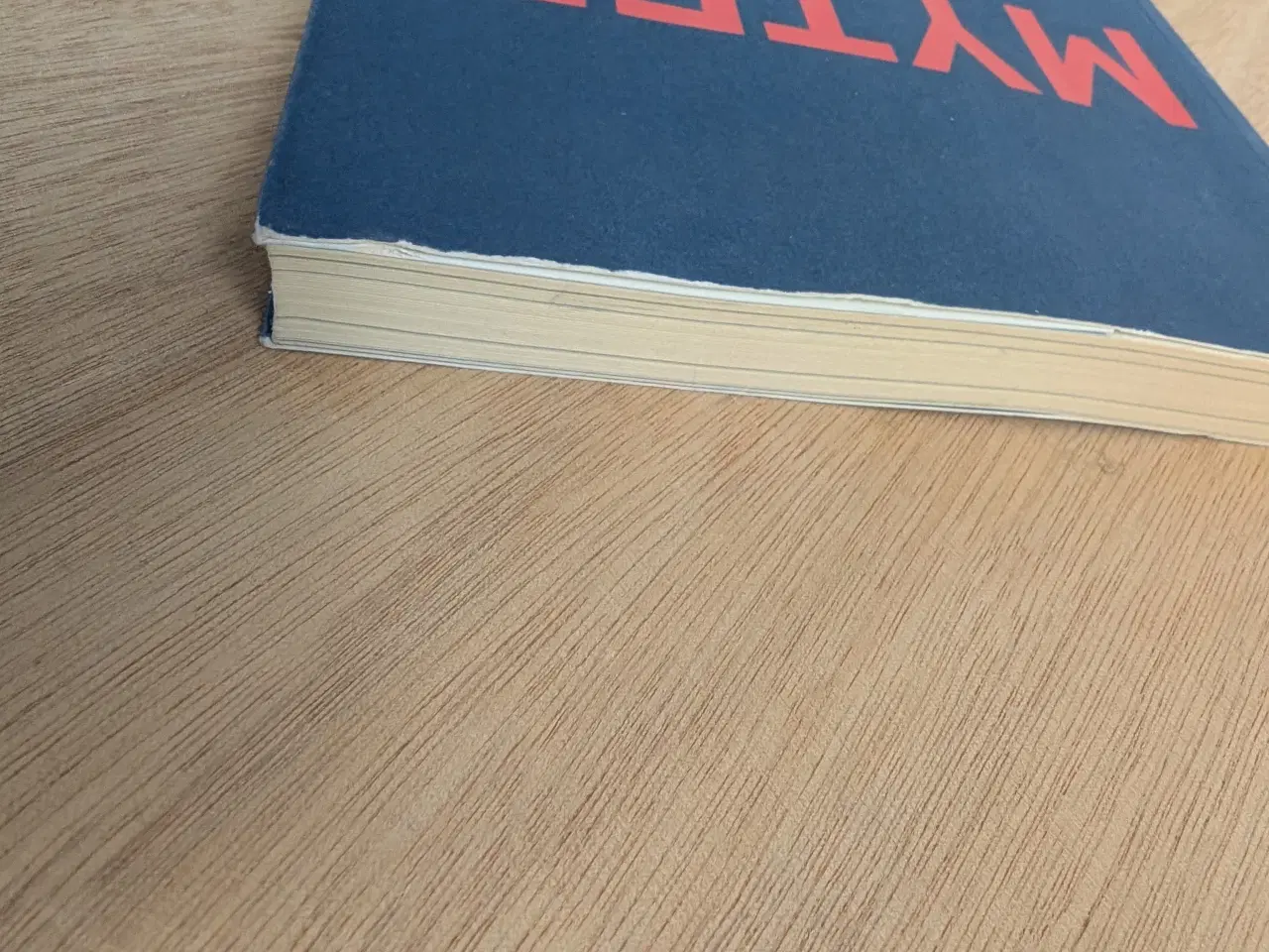 Billede 4 - Myter om magten bog om kvinder i topledelse