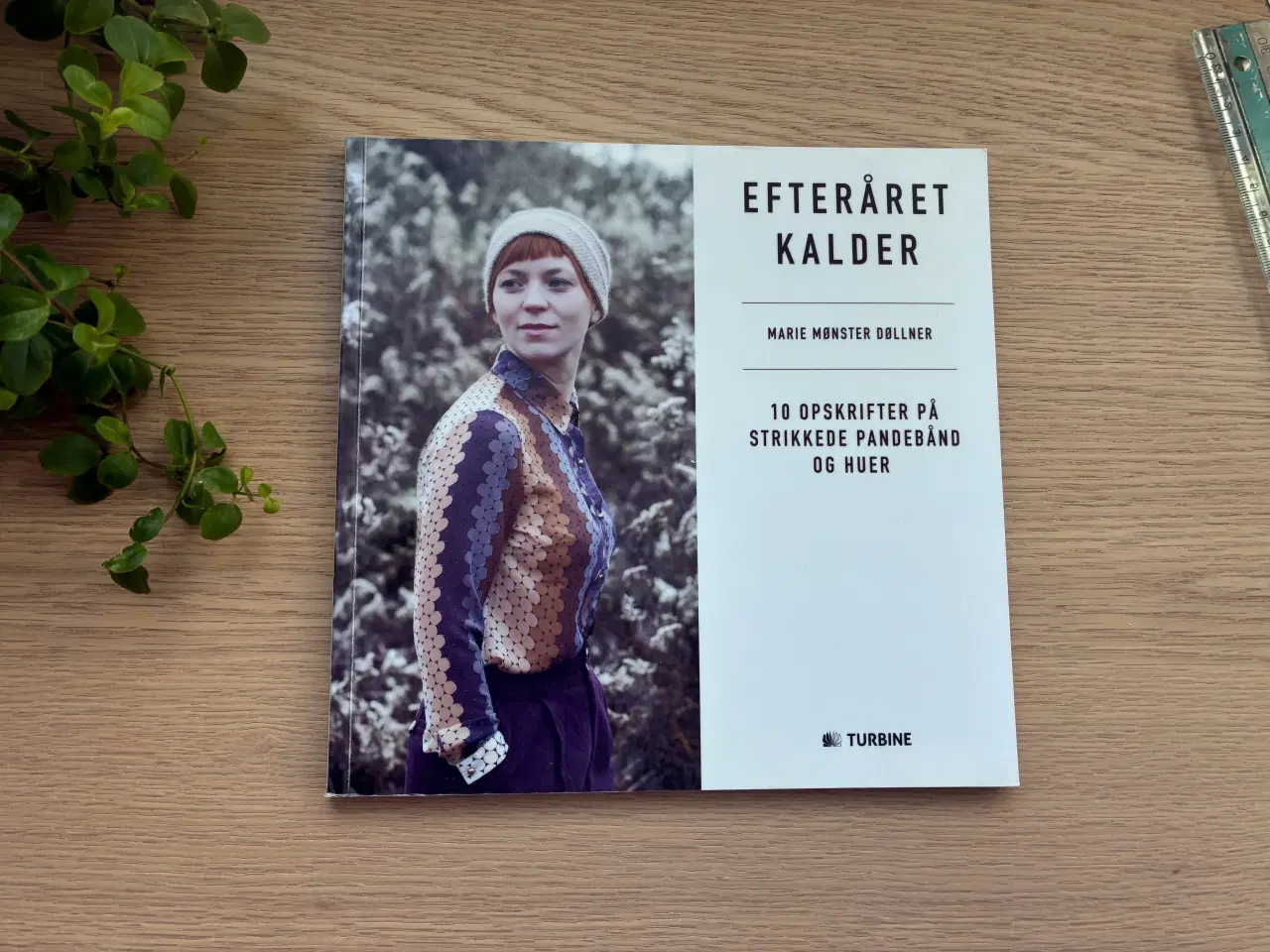 Billede 1 - EFTERÅRET KALDER  -  Marie Mønster Døllner