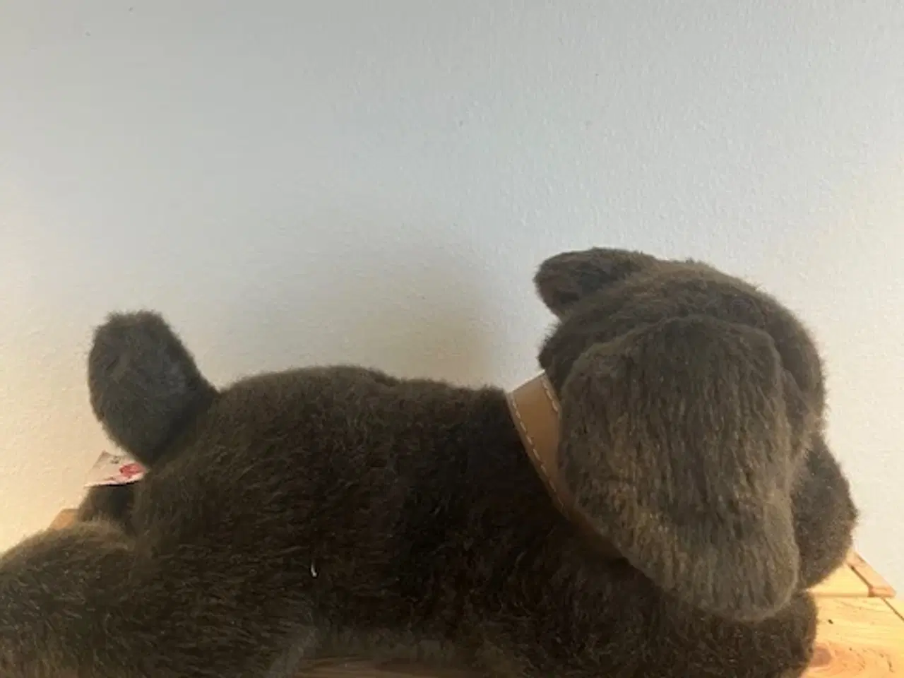 Billede 6 - Sød, blød "Basil" Chocolate Labrador fra Keel Toys