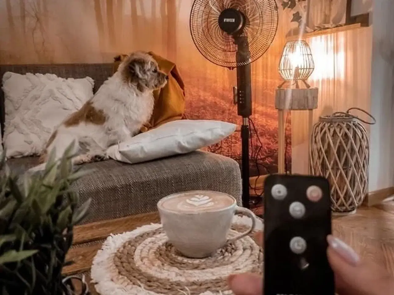 Billede 4 - Stativventilator 40 cm med fjernbetjening – N'OVEEN F455, sort