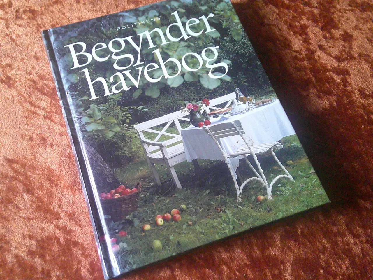 Billede 1 - Politikens begynderhavebog, Pippa Greenwood