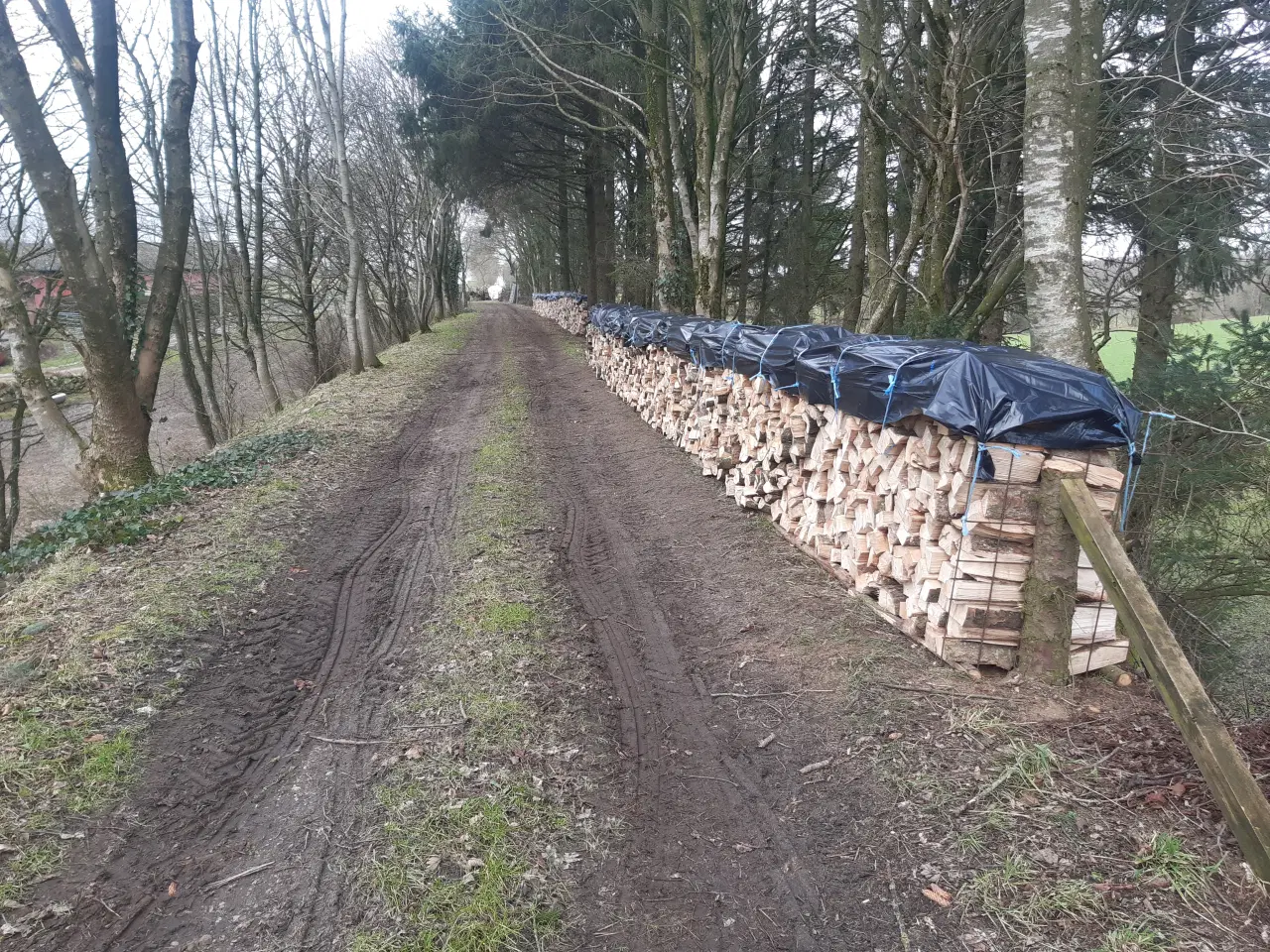 Billede 1 - Løvtræ Brænde