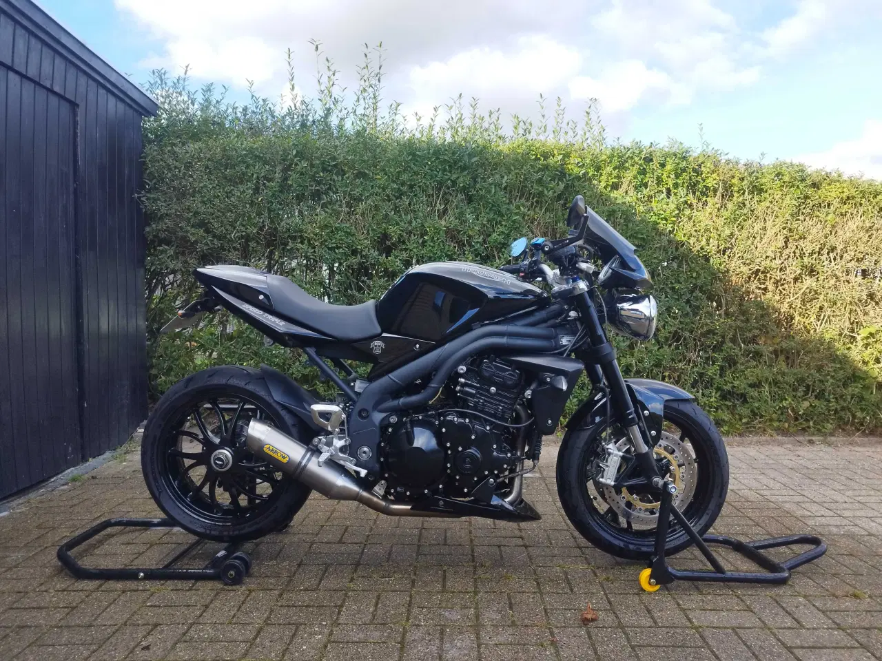 Billede 4 - Triumph Speed triple 1050