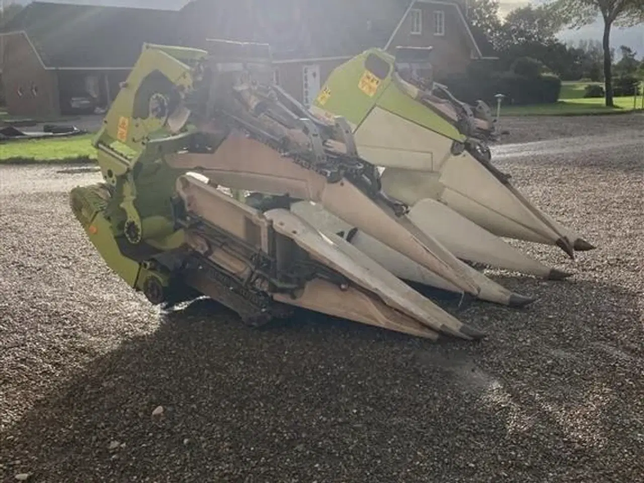 Billede 5 - CLAAS Conspeed 6 Rk plukkebord