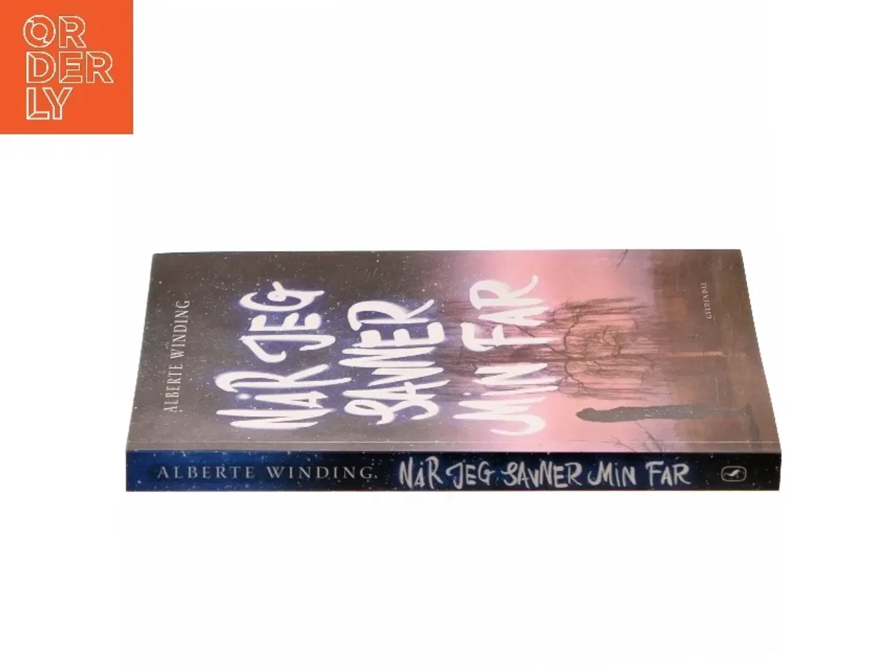 Billede 2 - Når jeg savner min far af Alberte Winding (Bog)
