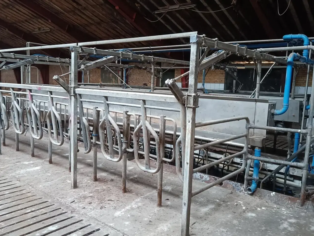 Billede 1 - - - - Malkestalden til 20 stk. med mælkemåler