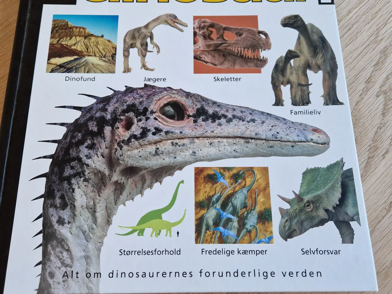 Billede 1 - Bog: Min store dinosaur bog