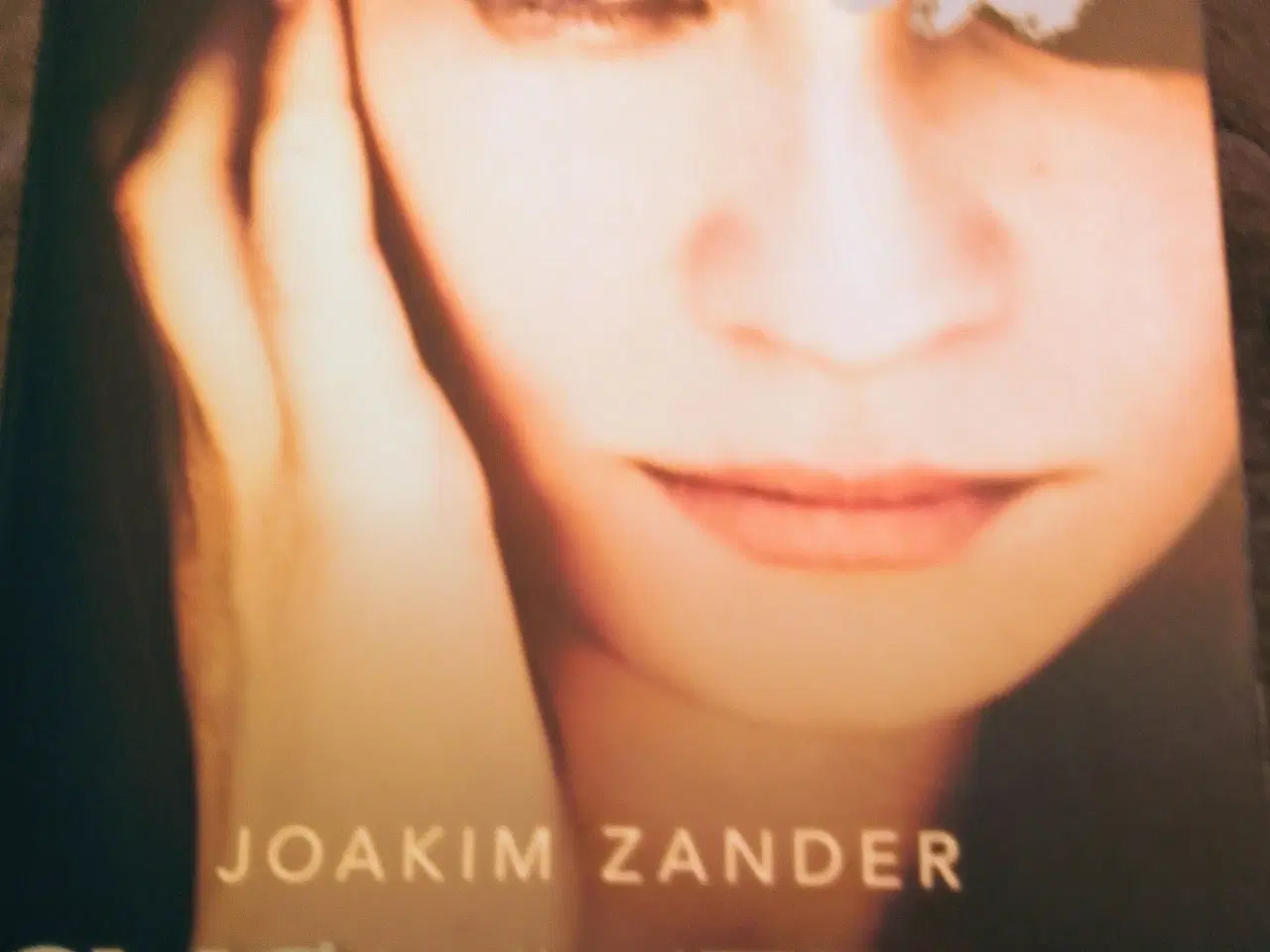 Billede 1 - Joakim Zander: Svømmeren.