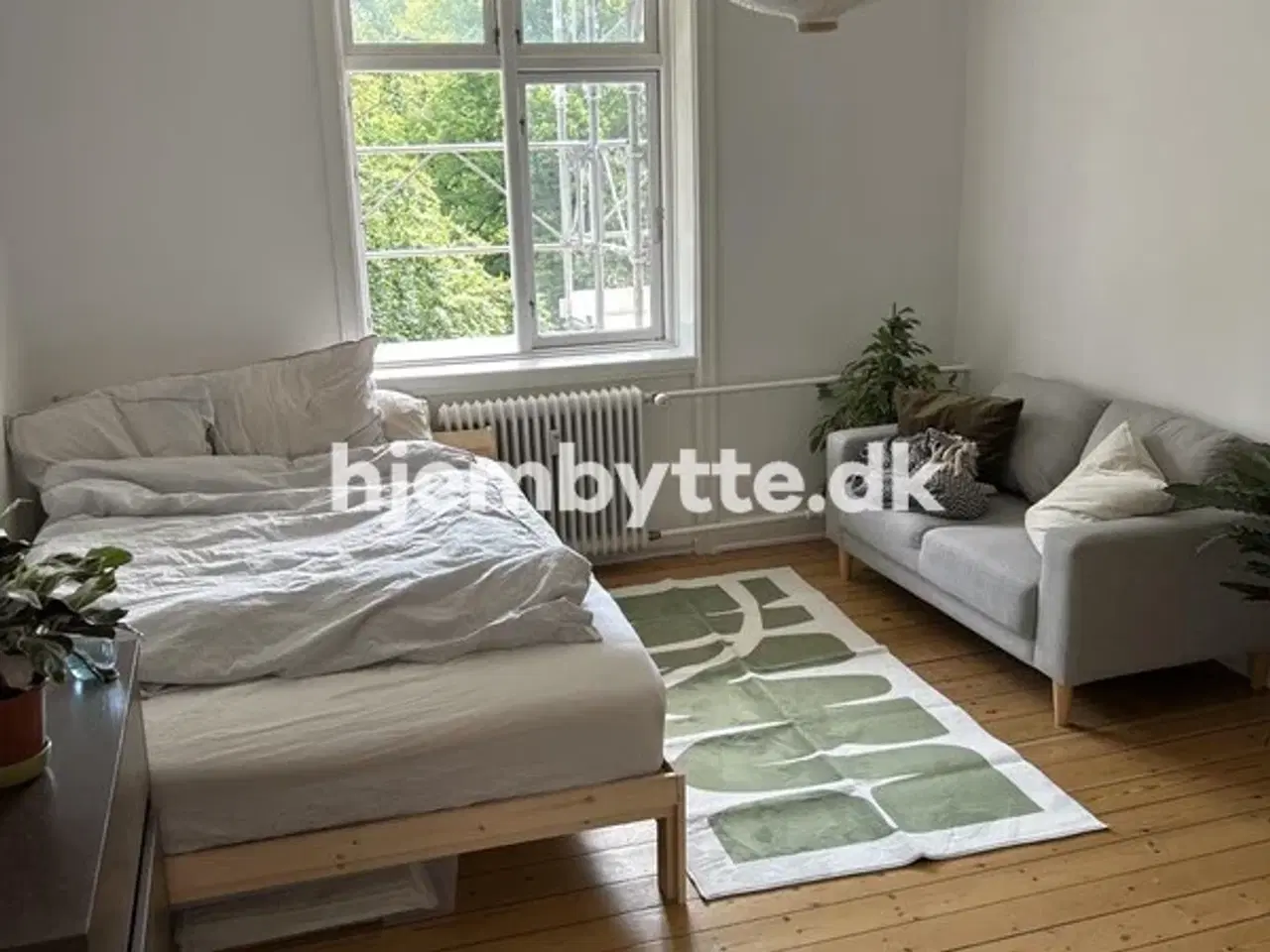 Billede 1 - Hjembytte - Lillegrund