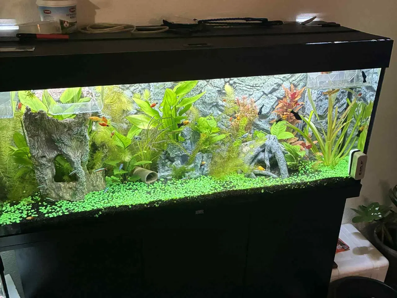 Billede 3 - 250 l Juwel akvarie + underskab 